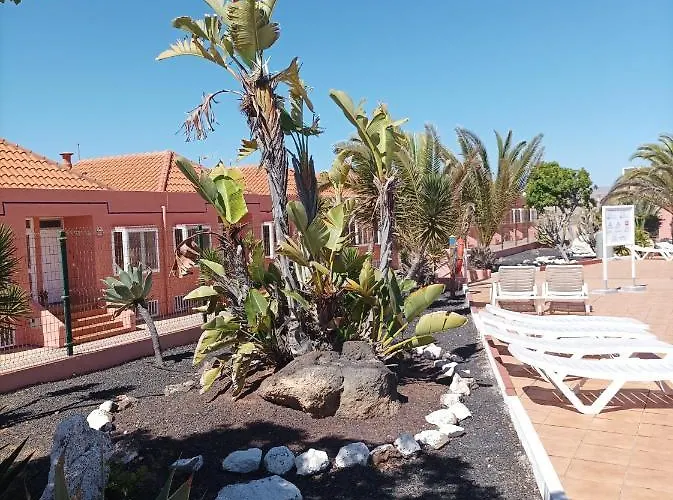 Art * كوستا دي أنتيجوا