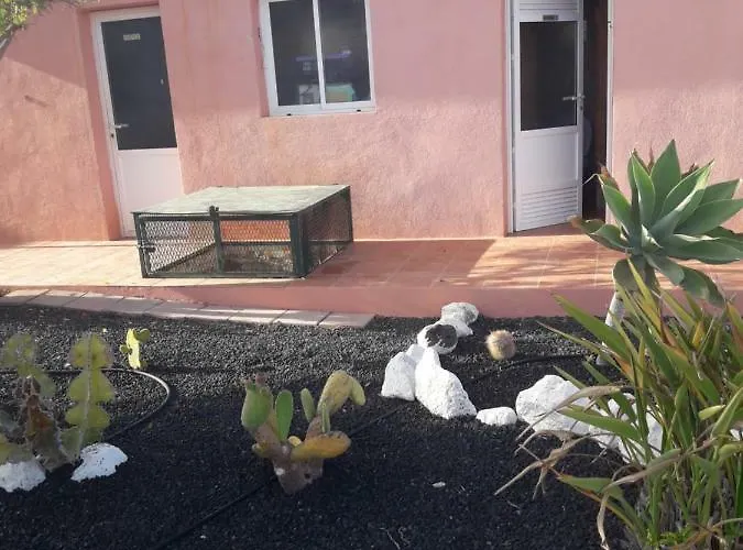 Art * Costa De Antigua